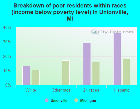 Breakdown of poor residents within races (income below poverty level) in Unionville, MI