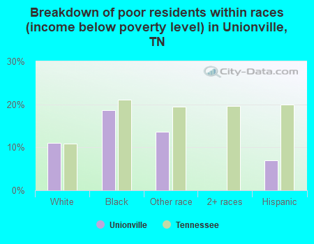 Breakdown of poor residents within races (income below poverty level) in Unionville, TN