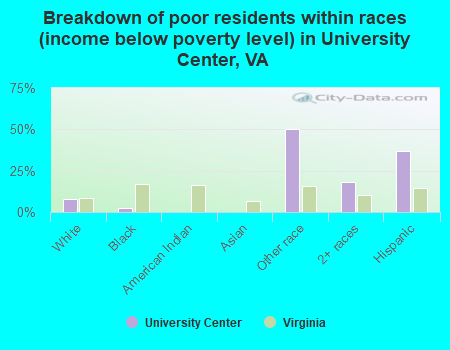 Breakdown of poor residents within races (income below poverty level) in University Center, VA