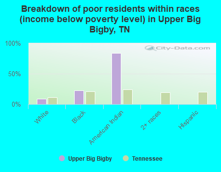 Breakdown of poor residents within races (income below poverty level) in Upper Big Bigby, TN