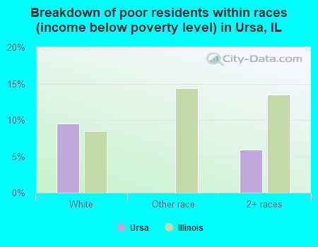 Breakdown of poor residents within races (income below poverty level) in Ursa, IL