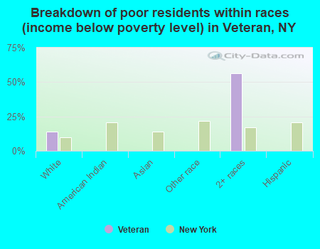 Breakdown of poor residents within races (income below poverty level) in Veteran, NY