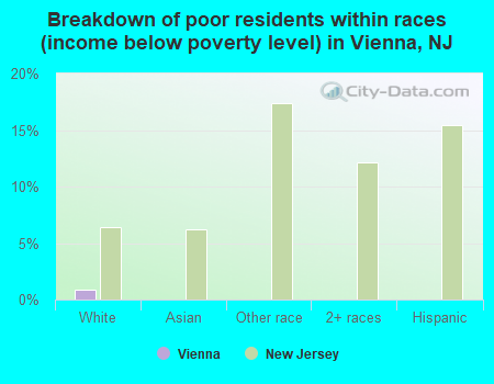 Breakdown of poor residents within races (income below poverty level) in Vienna, NJ