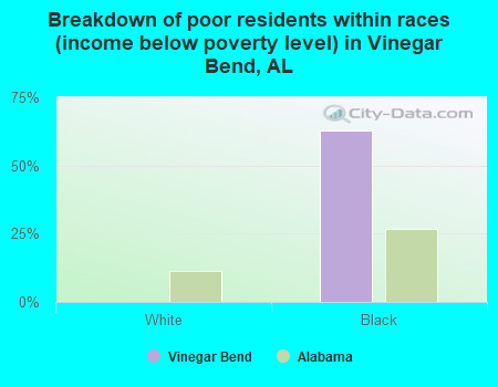 Breakdown of poor residents within races (income below poverty level) in Vinegar Bend, AL