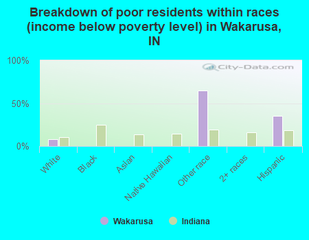 Breakdown of poor residents within races (income below poverty level) in Wakarusa, IN