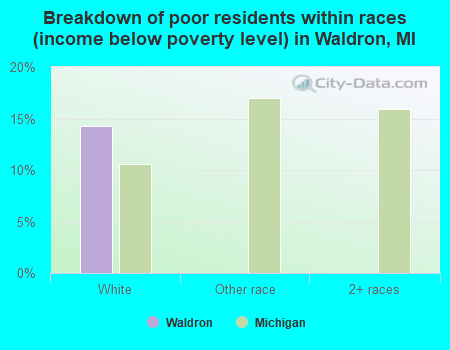 Breakdown of poor residents within races (income below poverty level) in Waldron, MI