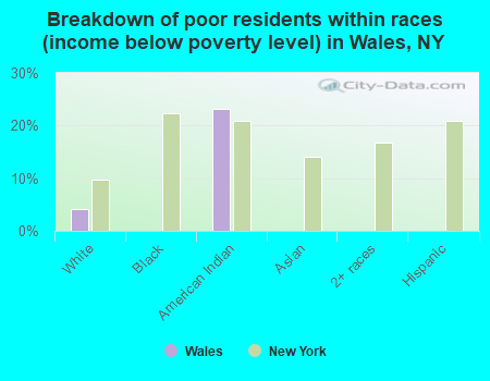 Breakdown of poor residents within races (income below poverty level) in Wales, NY