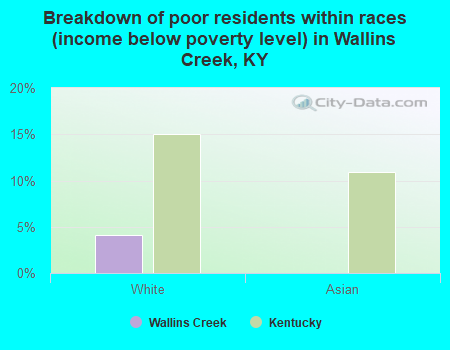 Breakdown of poor residents within races (income below poverty level) in Wallins Creek, KY