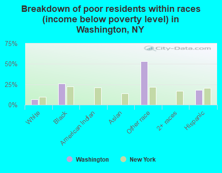 Breakdown of poor residents within races (income below poverty level) in Washington, NY