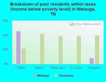 Breakdown of poor residents within races (income below poverty level) in Watauga, TN