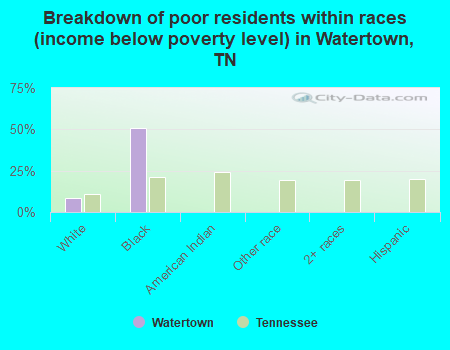 Breakdown of poor residents within races (income below poverty level) in Watertown, TN