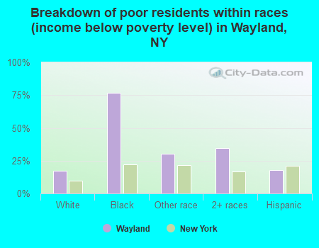Breakdown of poor residents within races (income below poverty level) in Wayland, NY