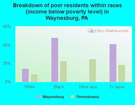 Breakdown of poor residents within races (income below poverty level) in Waynesburg, PA