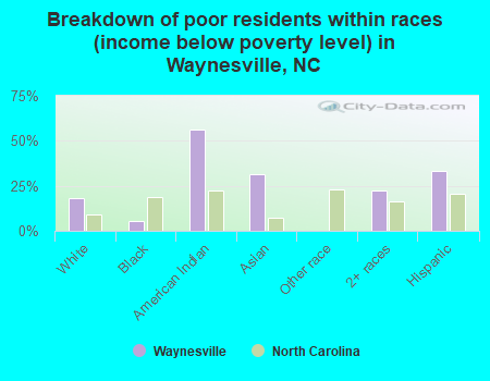 Breakdown of poor residents within races (income below poverty level) in Waynesville, NC