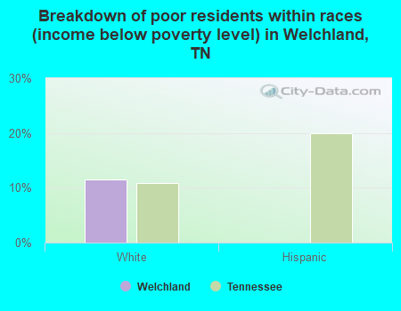 Breakdown of poor residents within races (income below poverty level) in Welchland, TN