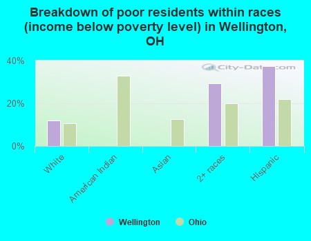 Breakdown of poor residents within races (income below poverty level) in Wellington, OH