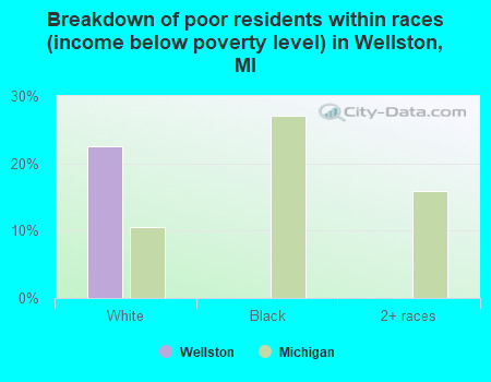 Breakdown of poor residents within races (income below poverty level) in Wellston, MI