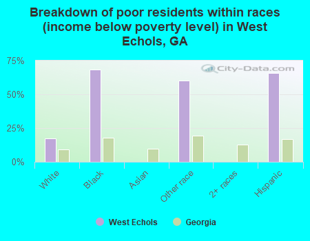 Breakdown of poor residents within races (income below poverty level) in West Echols, GA