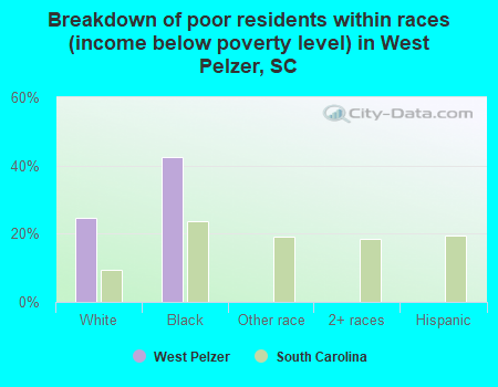 Breakdown of poor residents within races (income below poverty level) in West Pelzer, SC