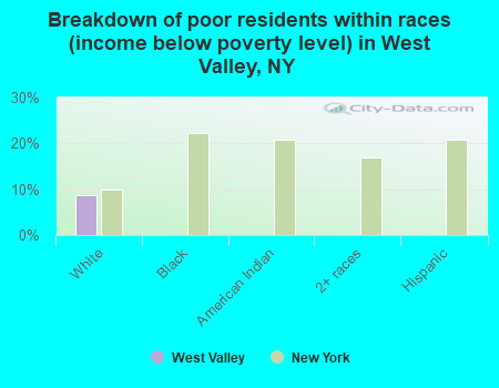 Breakdown of poor residents within races (income below poverty level) in West Valley, NY
