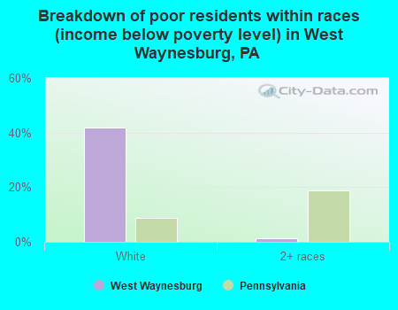 Breakdown of poor residents within races (income below poverty level) in West Waynesburg, PA