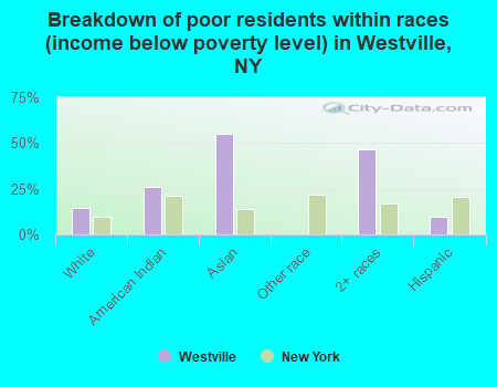 Breakdown of poor residents within races (income below poverty level) in Westville, NY