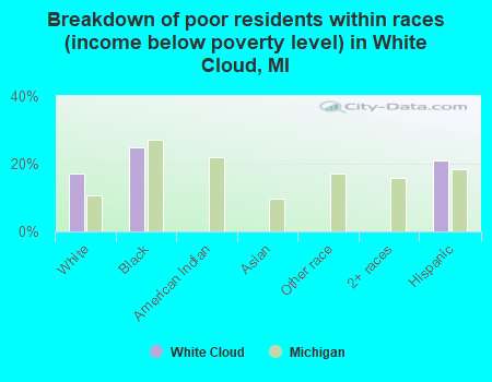 Breakdown of poor residents within races (income below poverty level) in White Cloud, MI