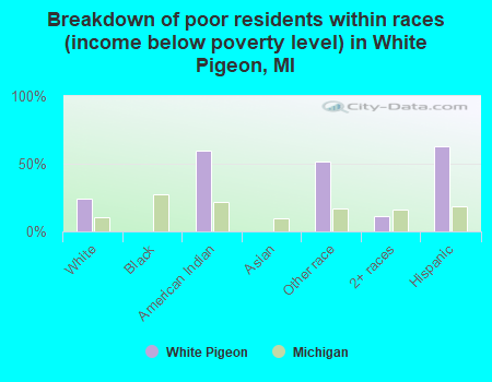 Breakdown of poor residents within races (income below poverty level) in White Pigeon, MI