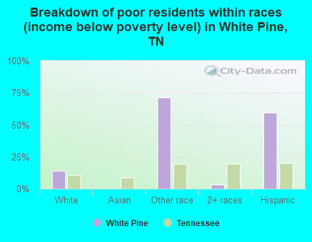 Breakdown of poor residents within races (income below poverty level) in White Pine, TN