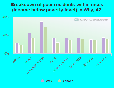 Breakdown of poor residents within races (income below poverty level) in Why, AZ