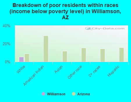Breakdown of poor residents within races (income below poverty level) in Williamson, AZ