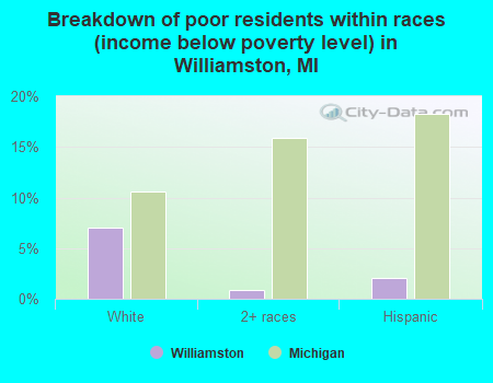 Breakdown of poor residents within races (income below poverty level) in Williamston, MI