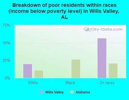 Breakdown of poor residents within races (income below poverty level) in Wills Valley, AL