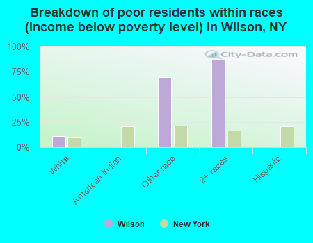 Breakdown of poor residents within races (income below poverty level) in Wilson, NY