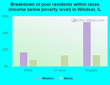 Breakdown of poor residents within races (income below poverty level) in Windsor, IL