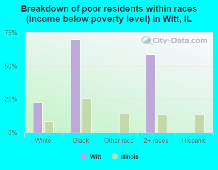 Breakdown of poor residents within races (income below poverty level) in Witt, IL