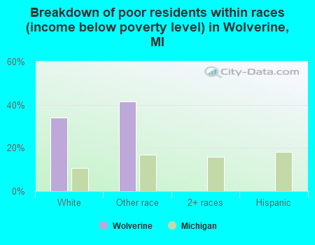 Breakdown of poor residents within races (income below poverty level) in Wolverine, MI