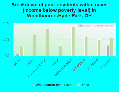 Breakdown of poor residents within races (income below poverty level) in Woodbourne-Hyde Park, OH