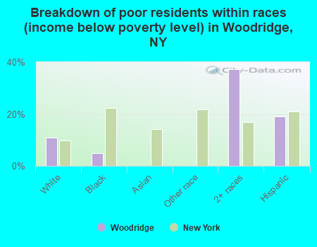 Breakdown of poor residents within races (income below poverty level) in Woodridge, NY