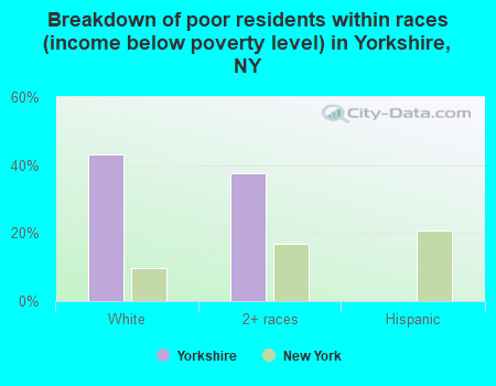 Breakdown of poor residents within races (income below poverty level) in Yorkshire, NY