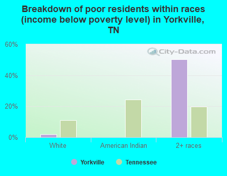 Breakdown of poor residents within races (income below poverty level) in Yorkville, TN