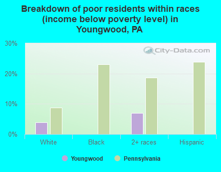 Breakdown of poor residents within races (income below poverty level) in Youngwood, PA
