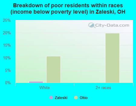 Breakdown of poor residents within races (income below poverty level) in Zaleski, OH