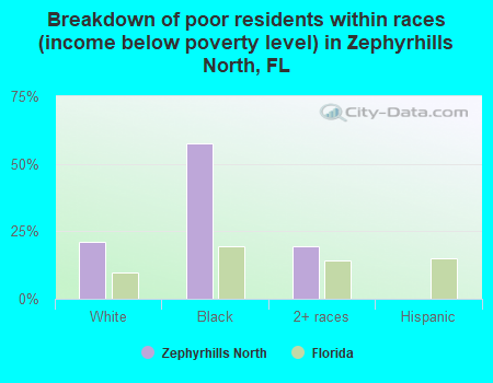Breakdown of poor residents within races (income below poverty level) in Zephyrhills North, FL