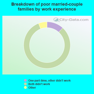 Breakdown of poor married-couple families by work experience