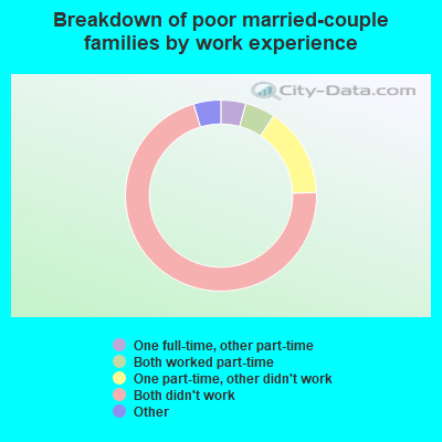 Breakdown of poor married-couple families by work experience