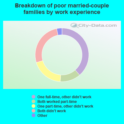 Breakdown of poor married-couple families by work experience