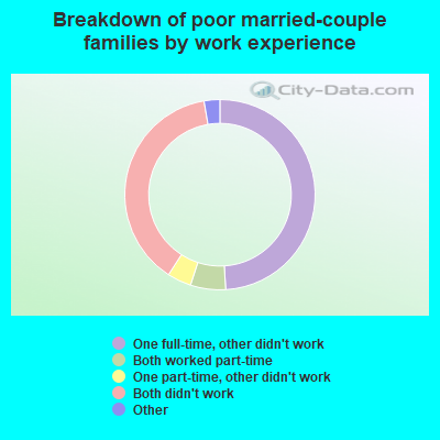 Breakdown of poor married-couple families by work experience