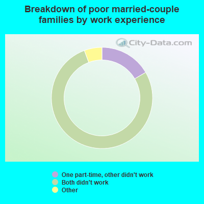 Breakdown of poor married-couple families by work experience