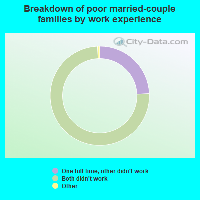 Breakdown of poor married-couple families by work experience